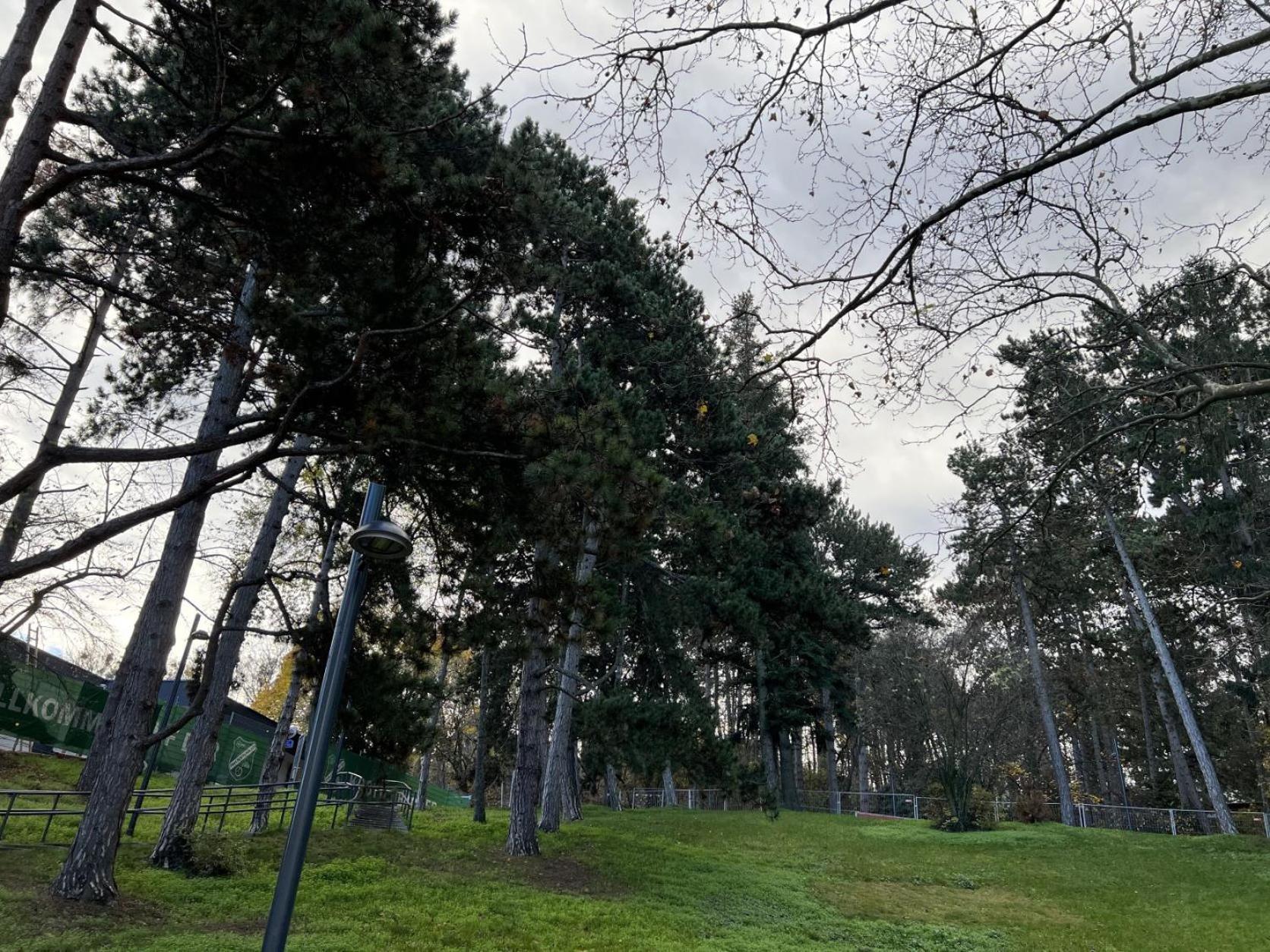 Apartmán Loge Sollinger1190 Vídeň Exteriér fotografie